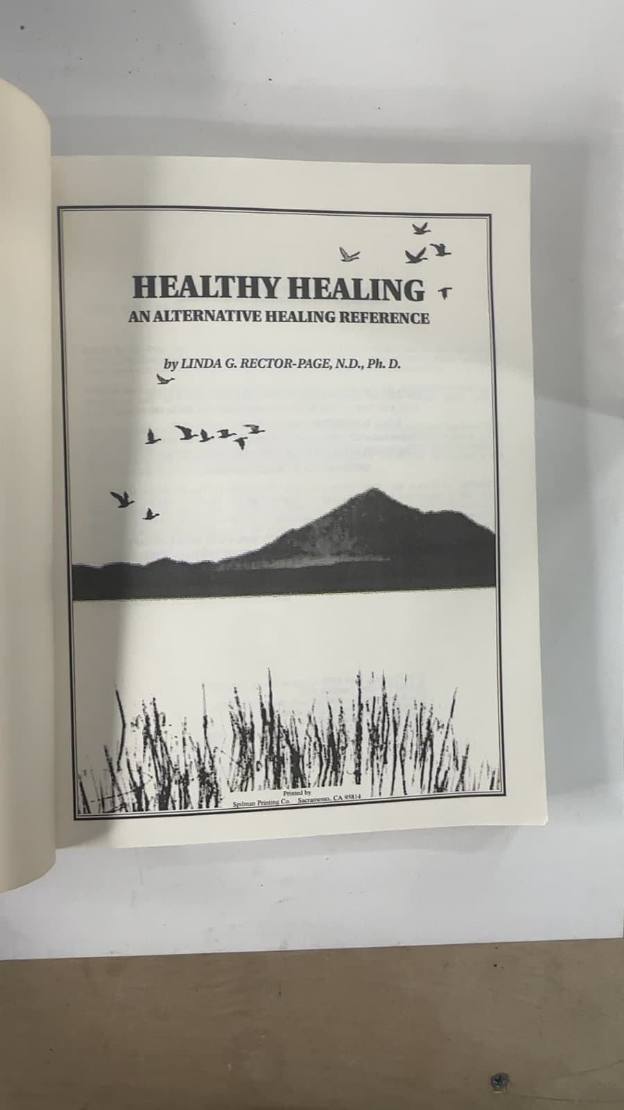 Healthy Healing by Linda Rector Page N.D., Ph.D. - title page