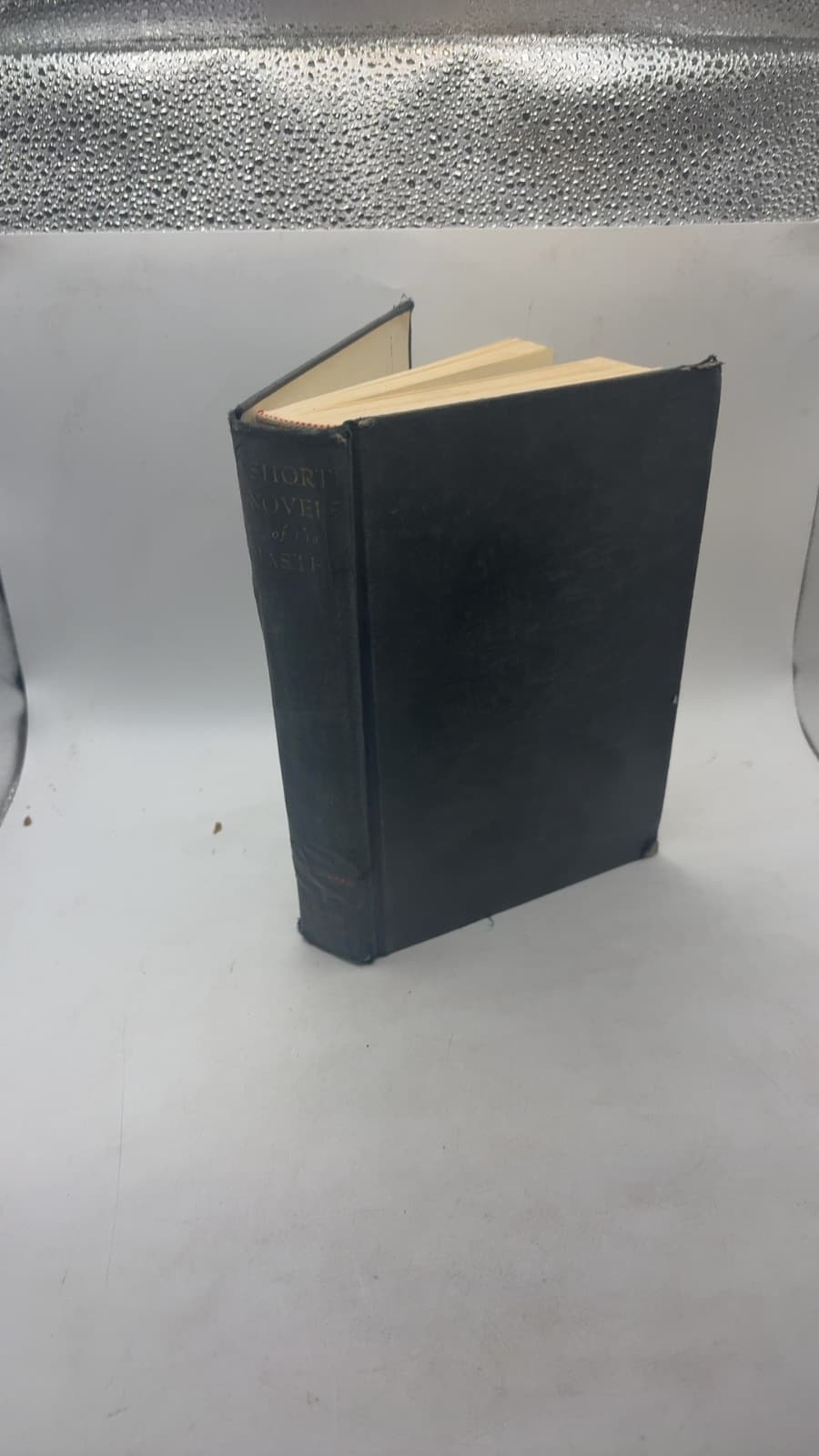 Short Novels OF THE Masters by Edited with an Introduction by Charles Neider - front cover