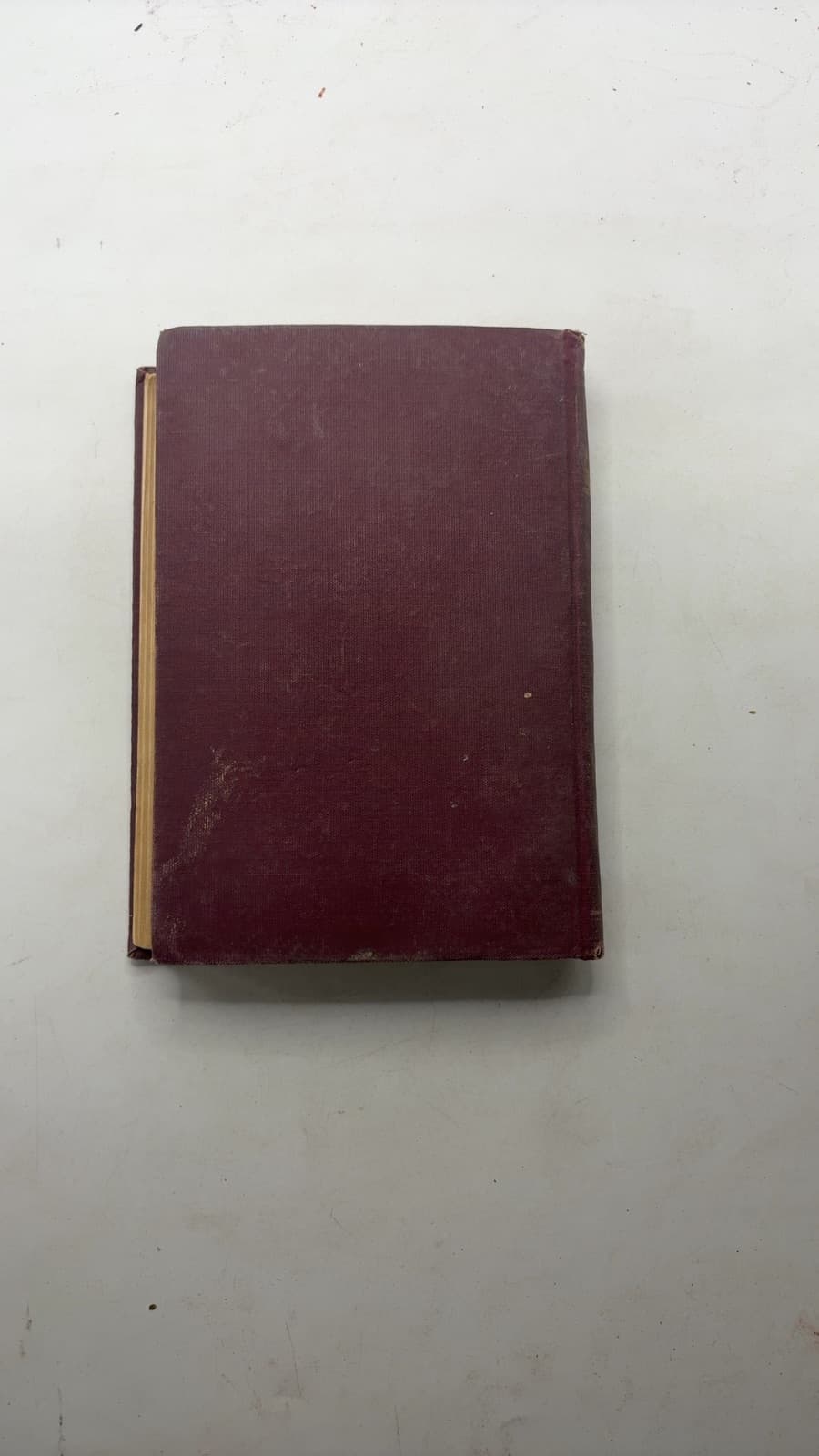 Donovan: A Modern Englishman by Edna Lyall - additional view
