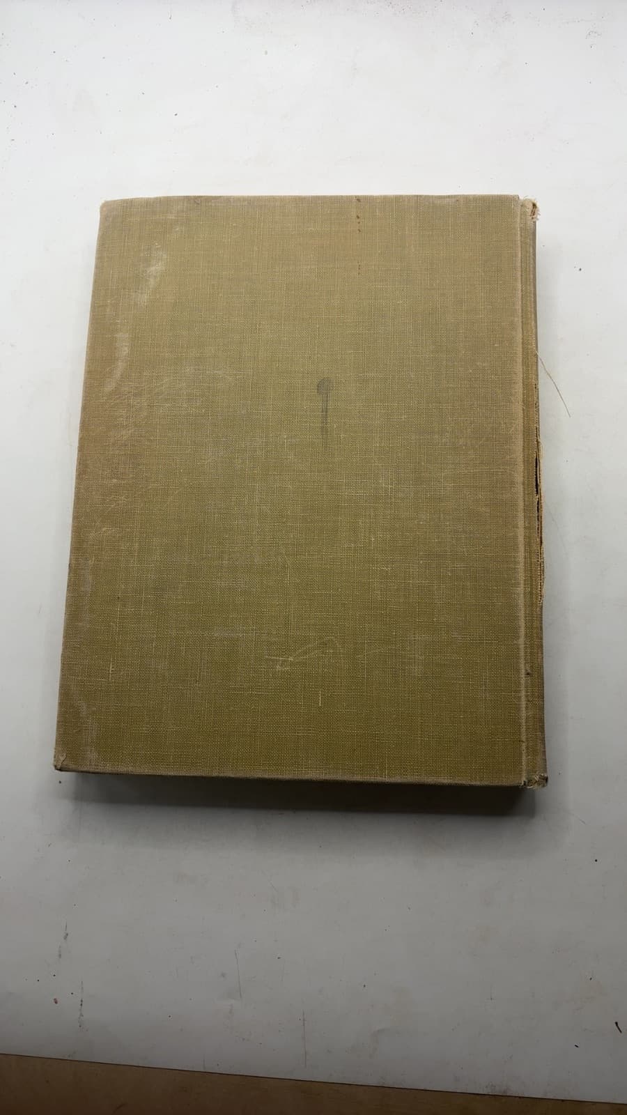 Psychology and Life by Floyd L. Ruch - additional view