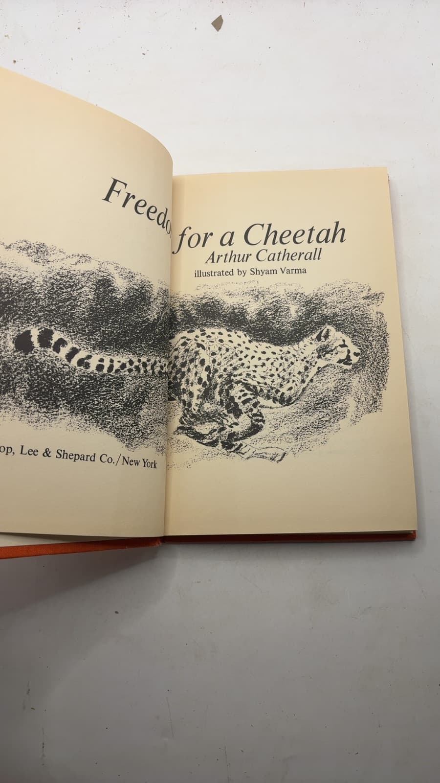 Freedom for a Cheetah by Arthur Catherall - title page