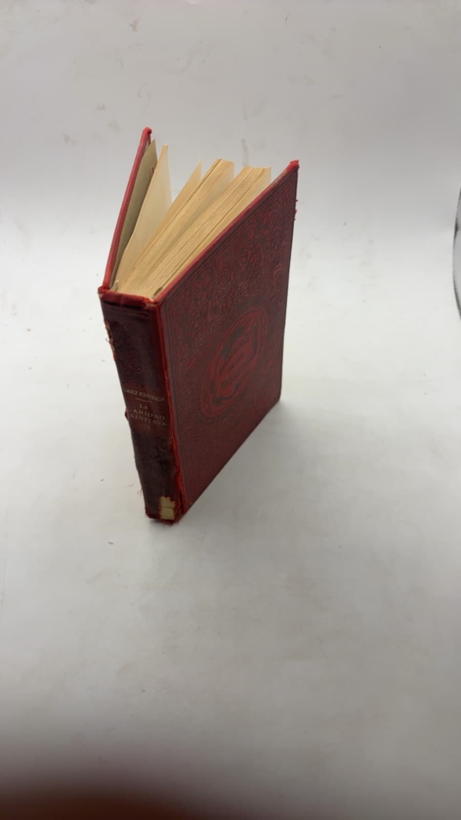 La Caridad Cristiana by Enrique Pérez Escrich - front cover
