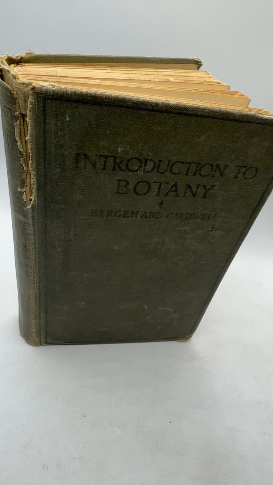 Introduction to Botany by Joseph Y. Bergen and Otis W. Caldwell - front cover