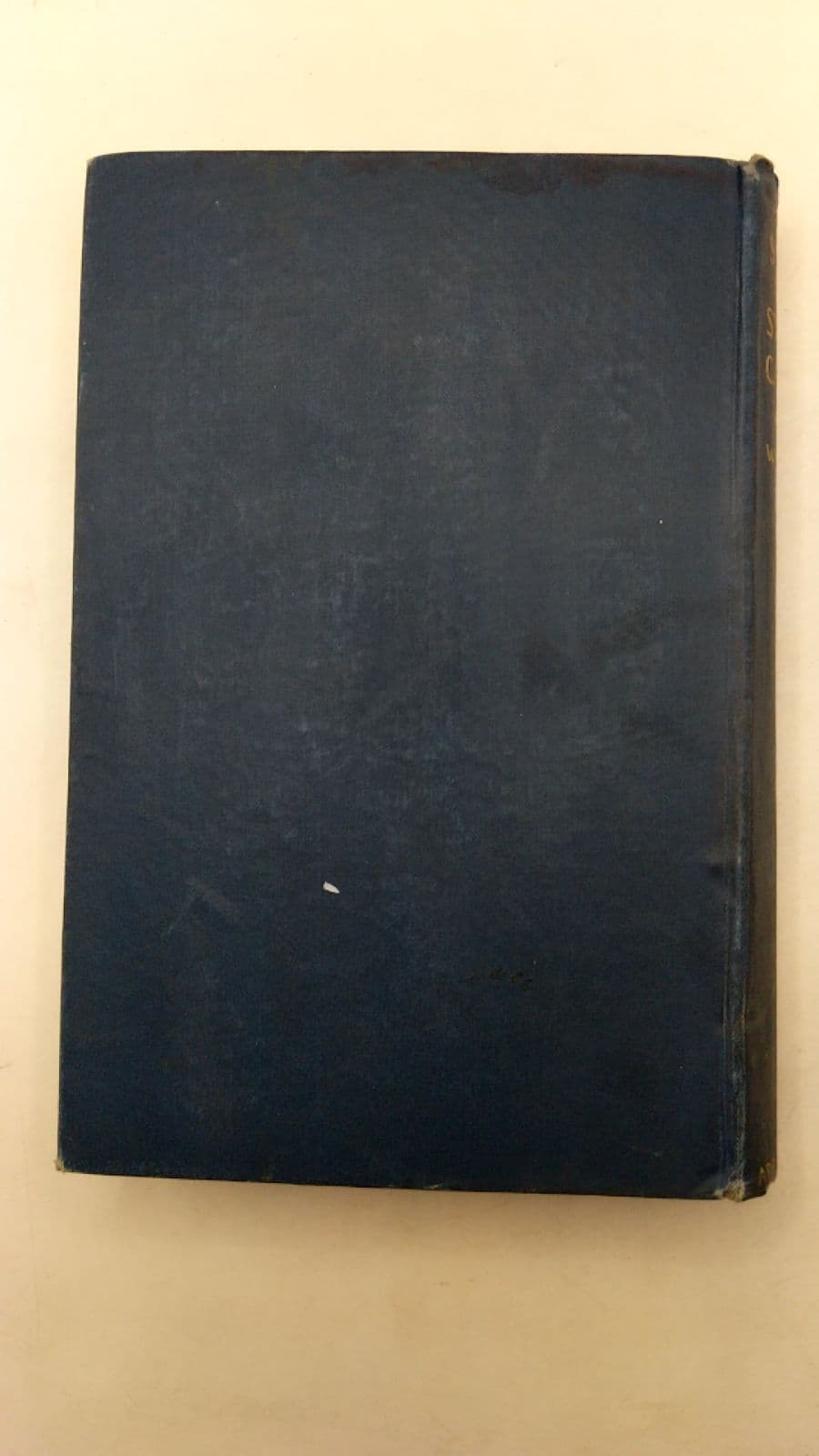 The Story of a Strange Career by Stanley Waterloo - additional view