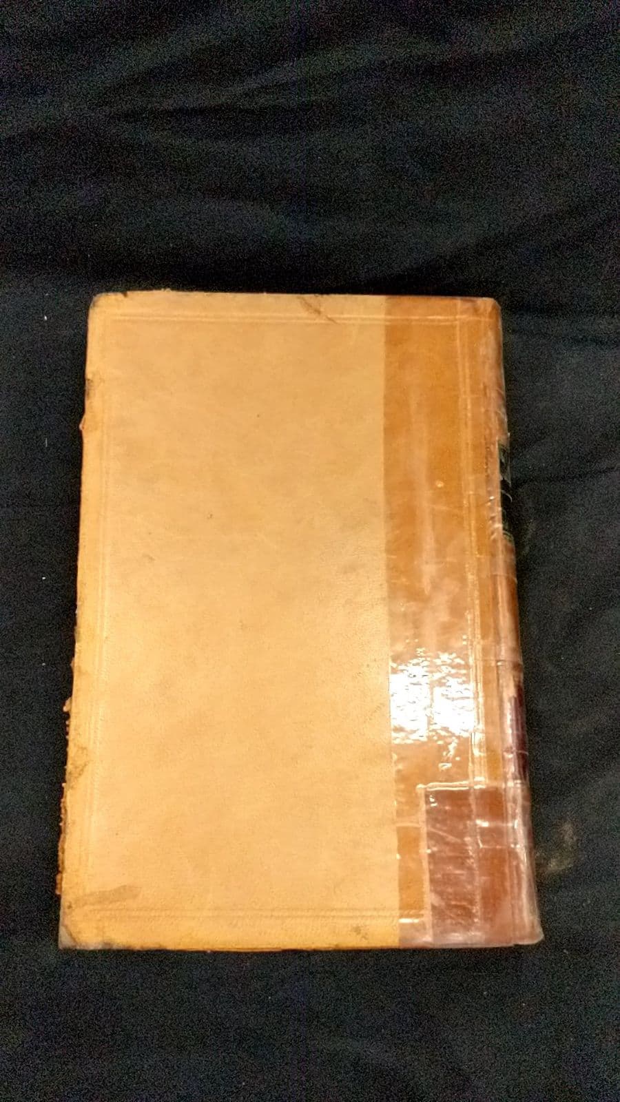 Reports of Cases Argued... Vol. 6 - additional view