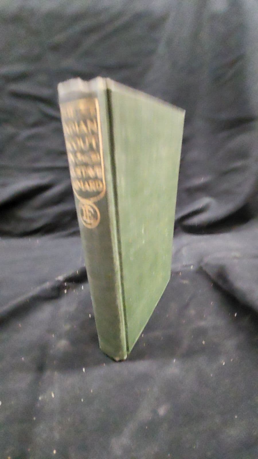 The Indian Scout: A Story of the Aztec City by Gustave Aimard - front cover