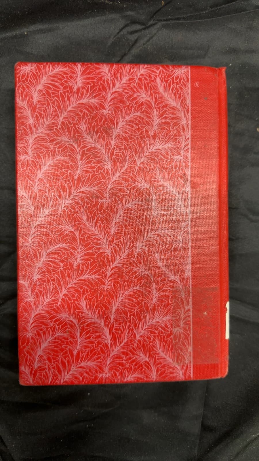 The Shadow Wife by Dorothy Eden - additional view
