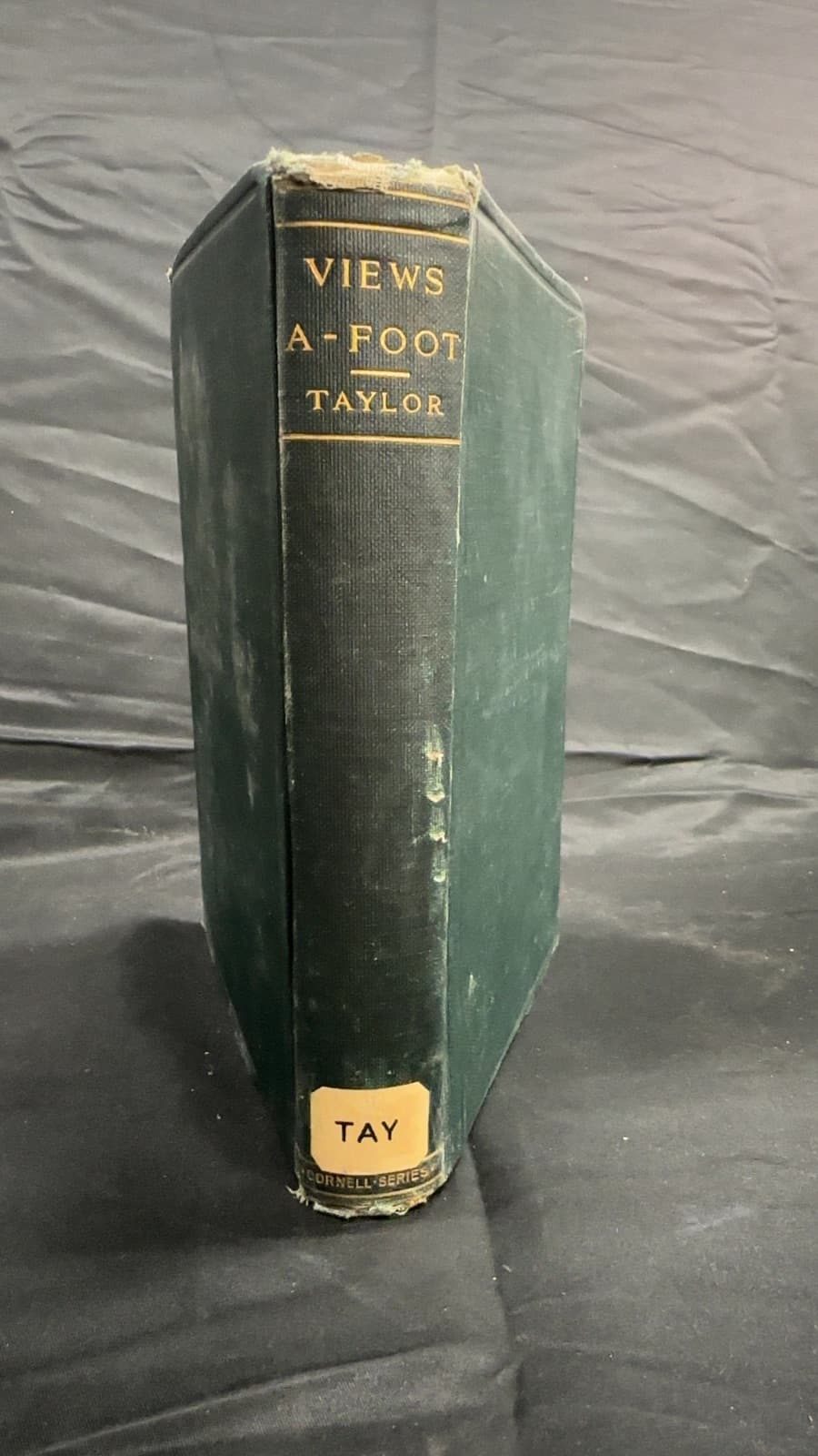 Views A-Foot by Bayard Taylor - quarter view showing binding condition