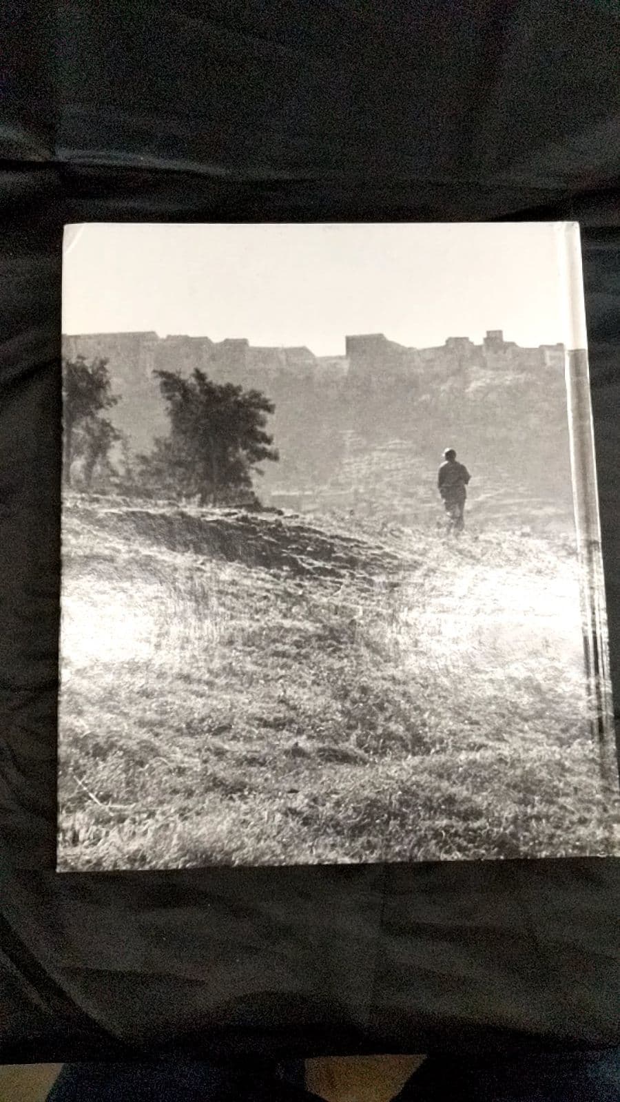 The Italian Campaign by Robert Wallace and the Editors of Time-Life Books - additional view