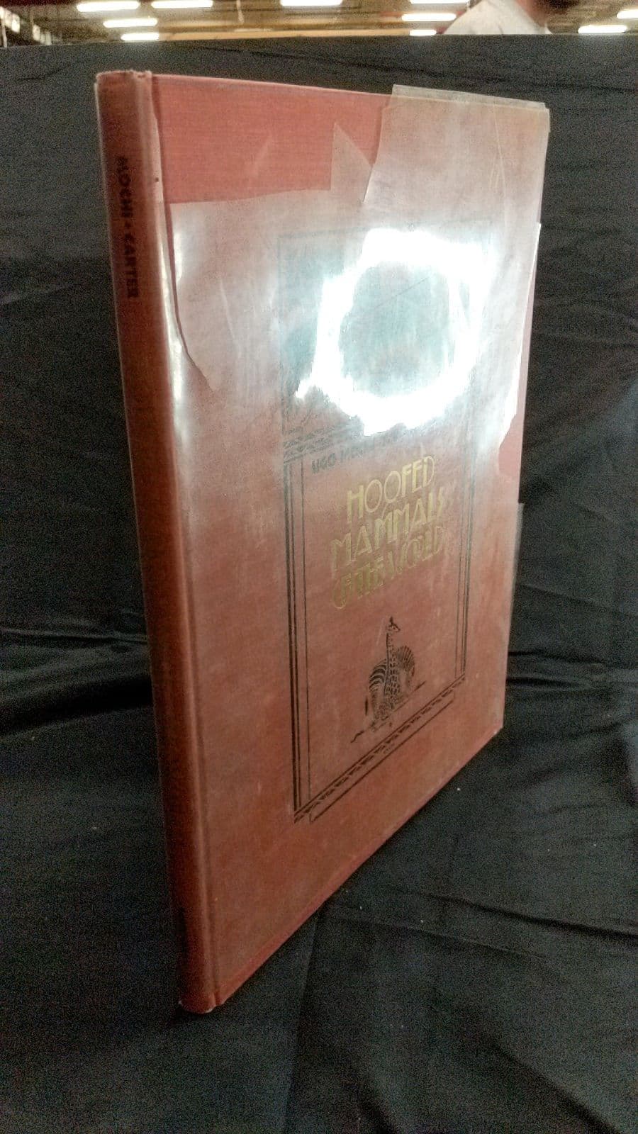 Hoofed Mammals of the World by Ugo Mochi and T. Donald Carter - front cover