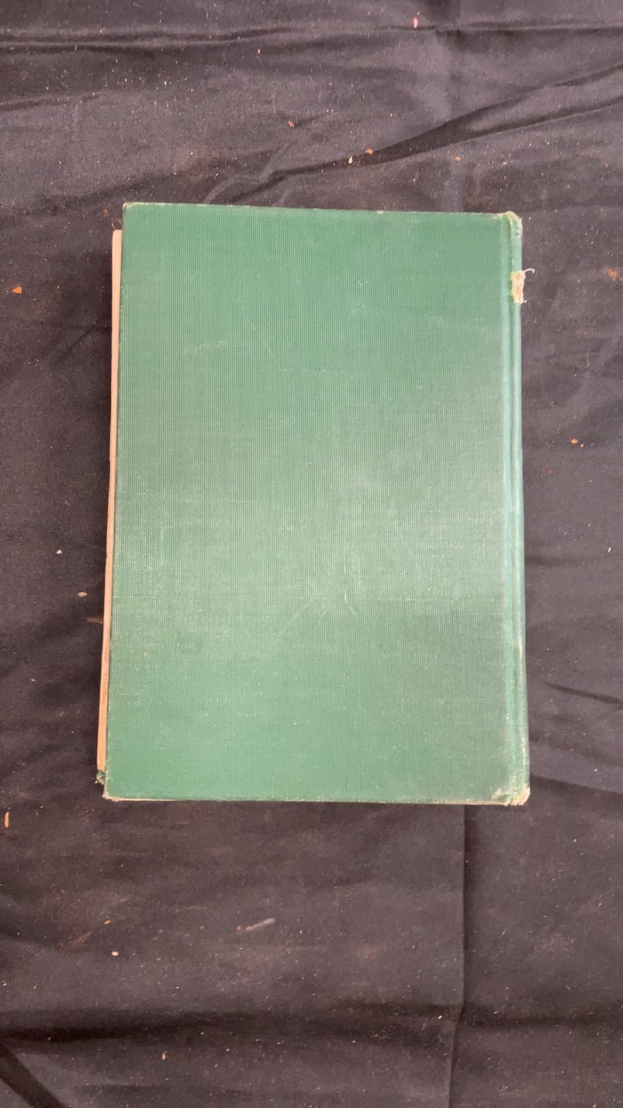 Silas Cobb by Dan V. Stephens - additional view