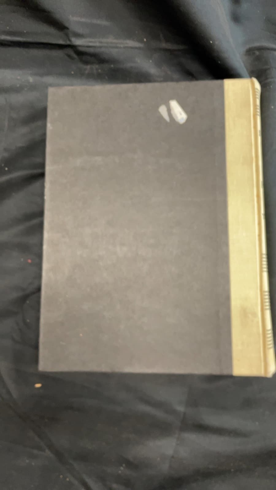 A New World History of Art by Sheldon Cheney - additional view