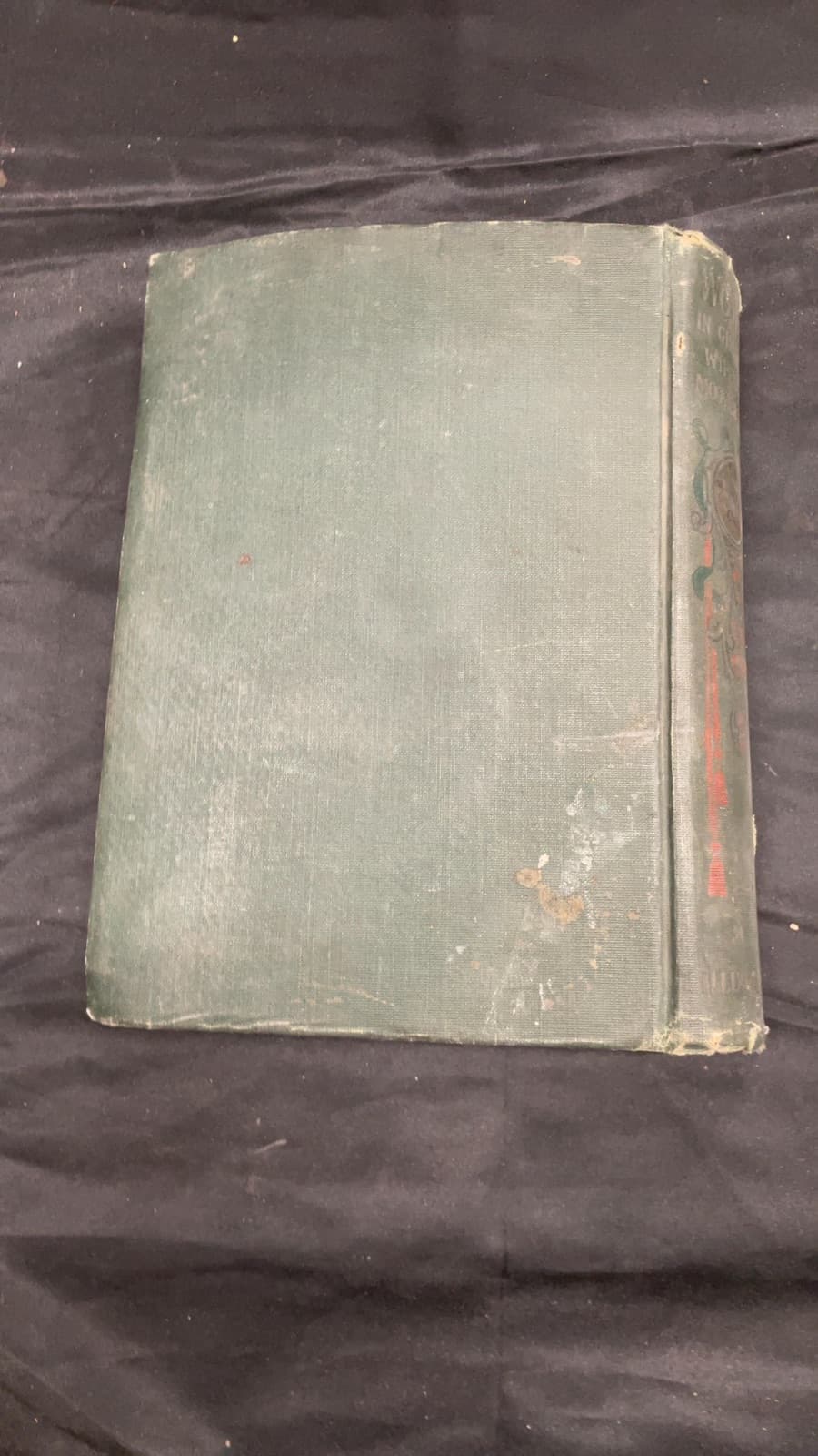 Woman in Girlhood-Wifehood-Motherhood by Myer Solis-Cohen, A.B., M.D. - additional view