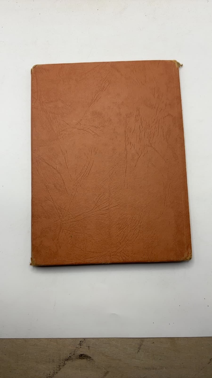The Cat That Jumped Out of the Story by Ben Hecht - additional view