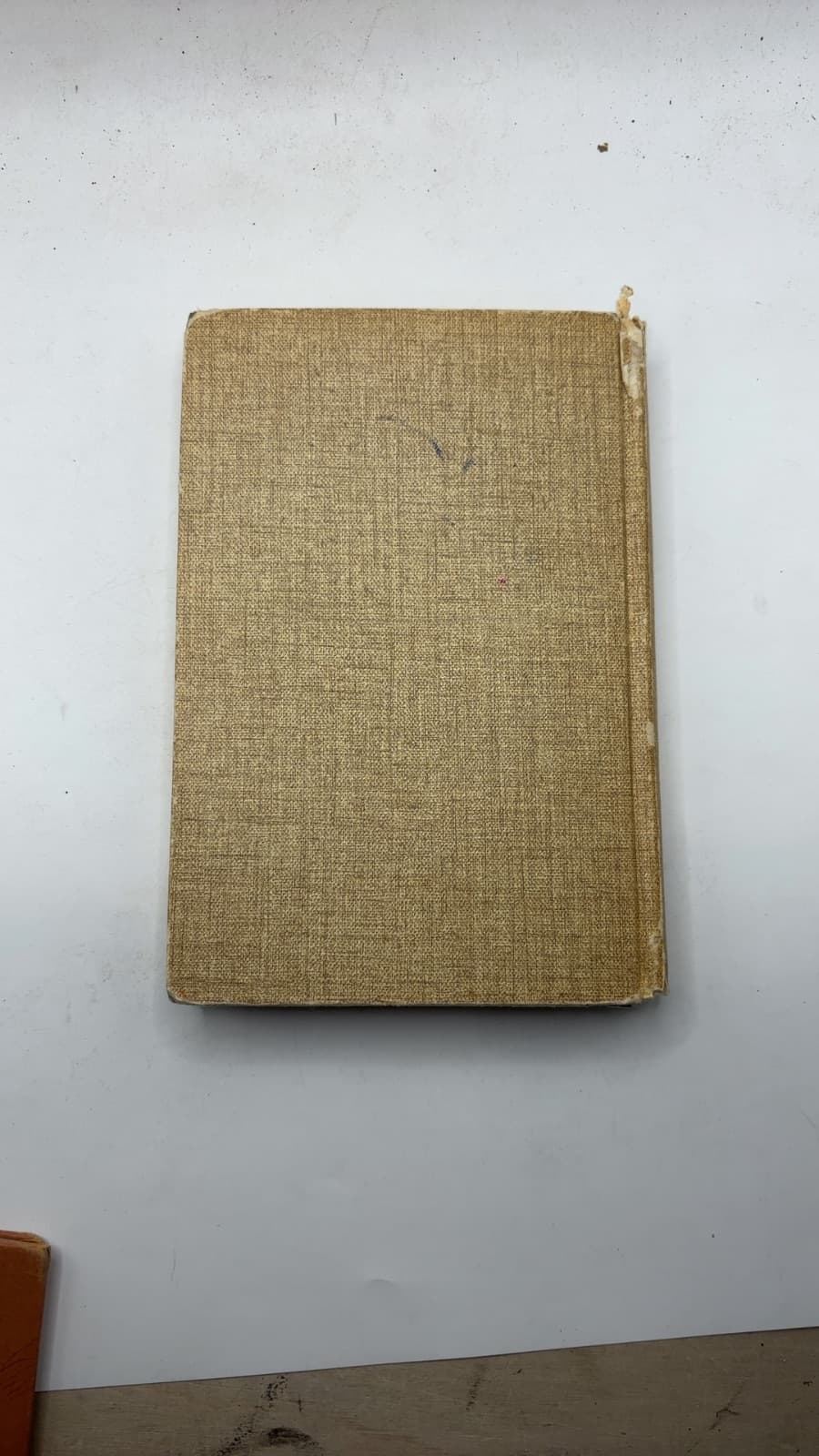 Many A Thorn by Lois Young Nelson - additional view