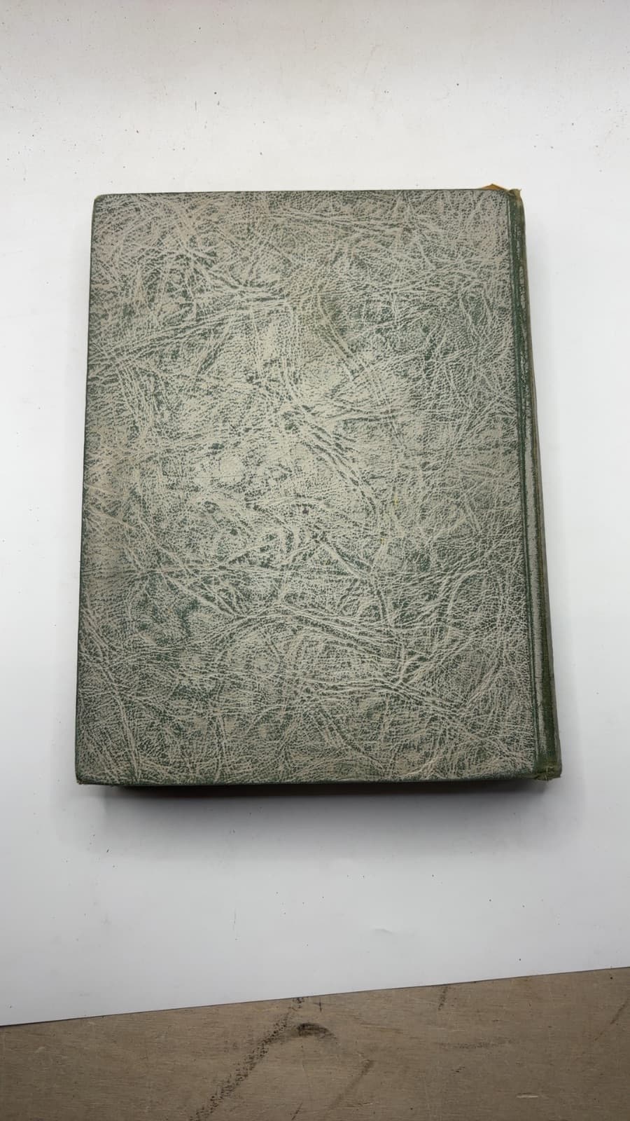 Through Fairy Halls of My Bookhouse by Olive Beaupré Miller - additional view