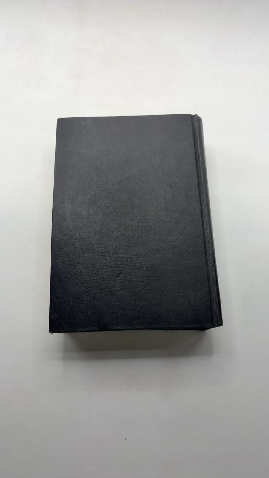 The Century Was Young by Louis Aragon - additional view