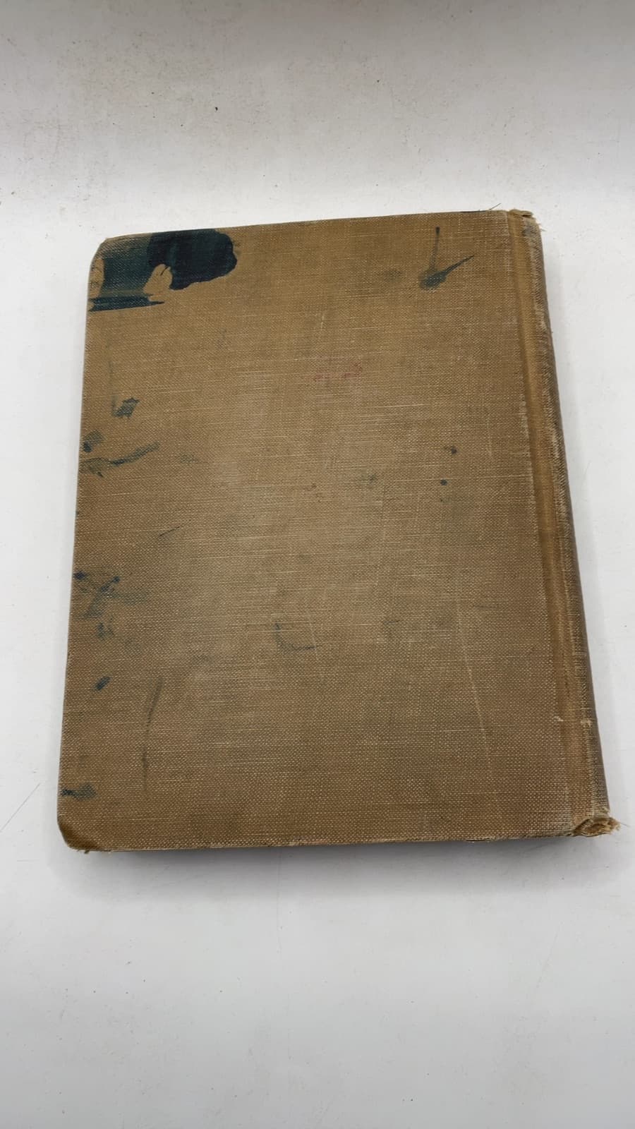Beginner's History by William H. Mace - additional view