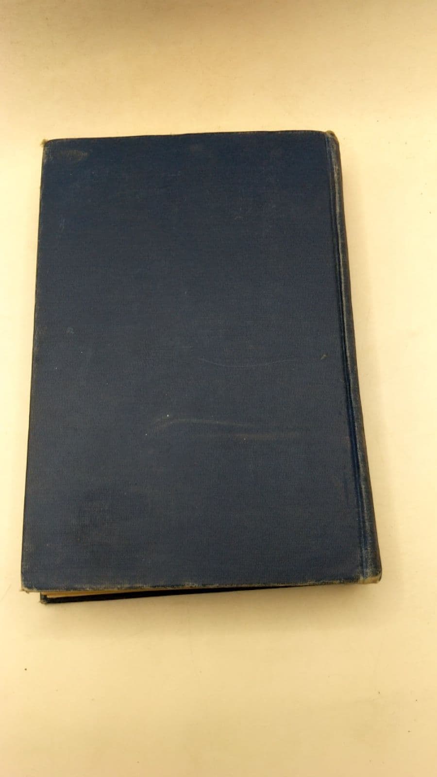 Phoebe by Eleanor Gates - additional view