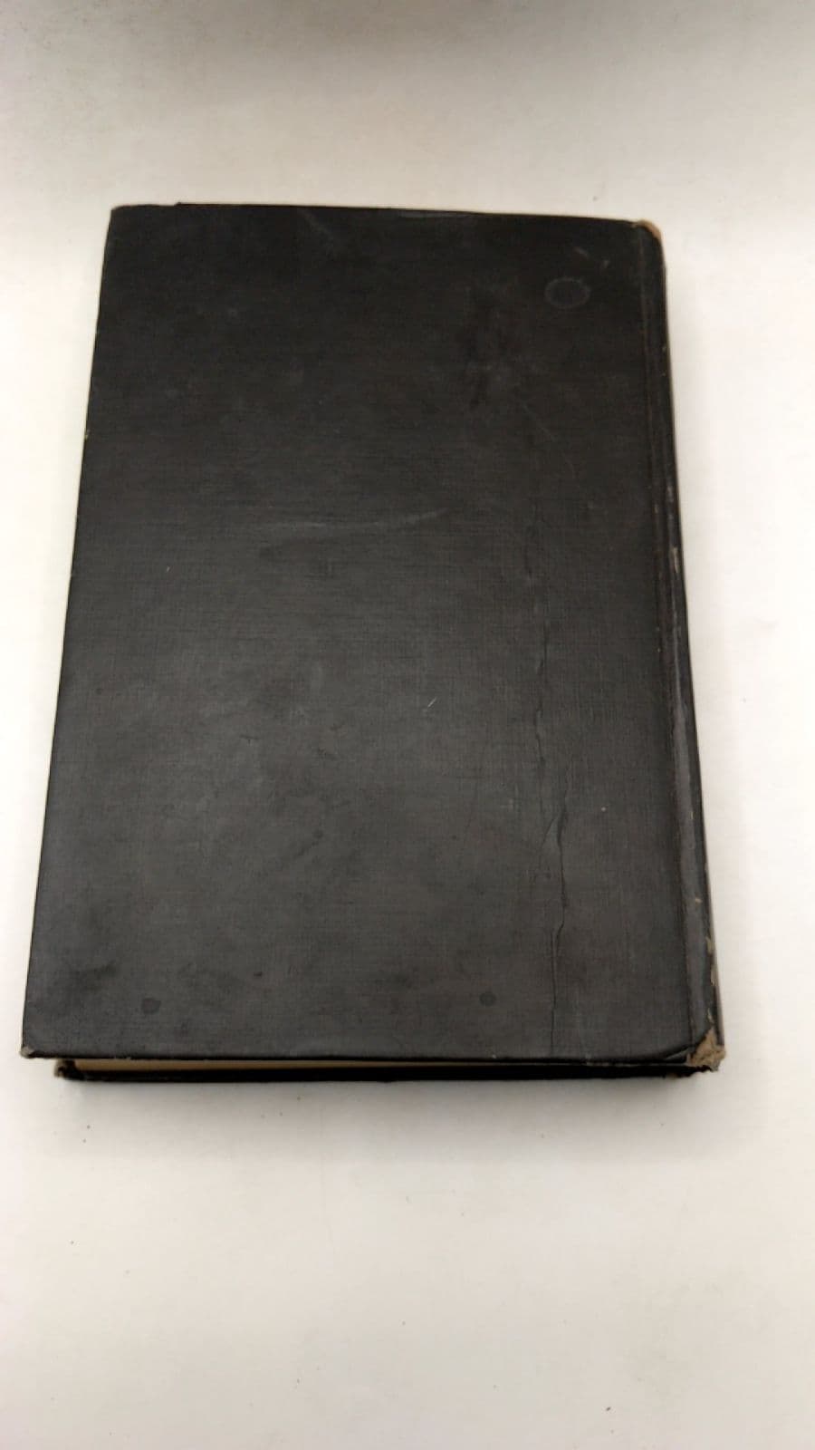 Savage Gentleman by Noel B. Gerson - additional view