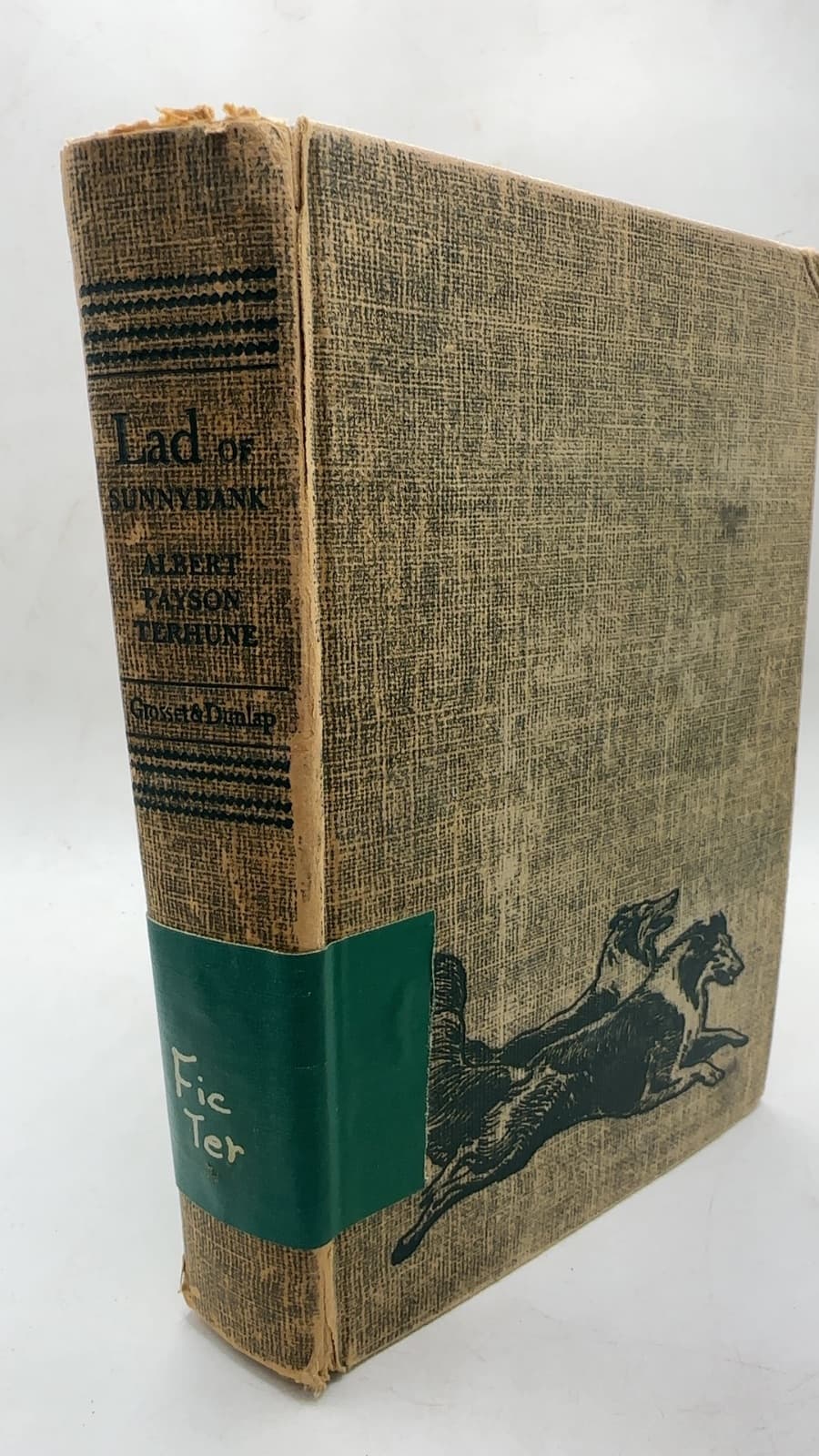 Lad of Sunnybank by Albert Payson Terhune - front cover