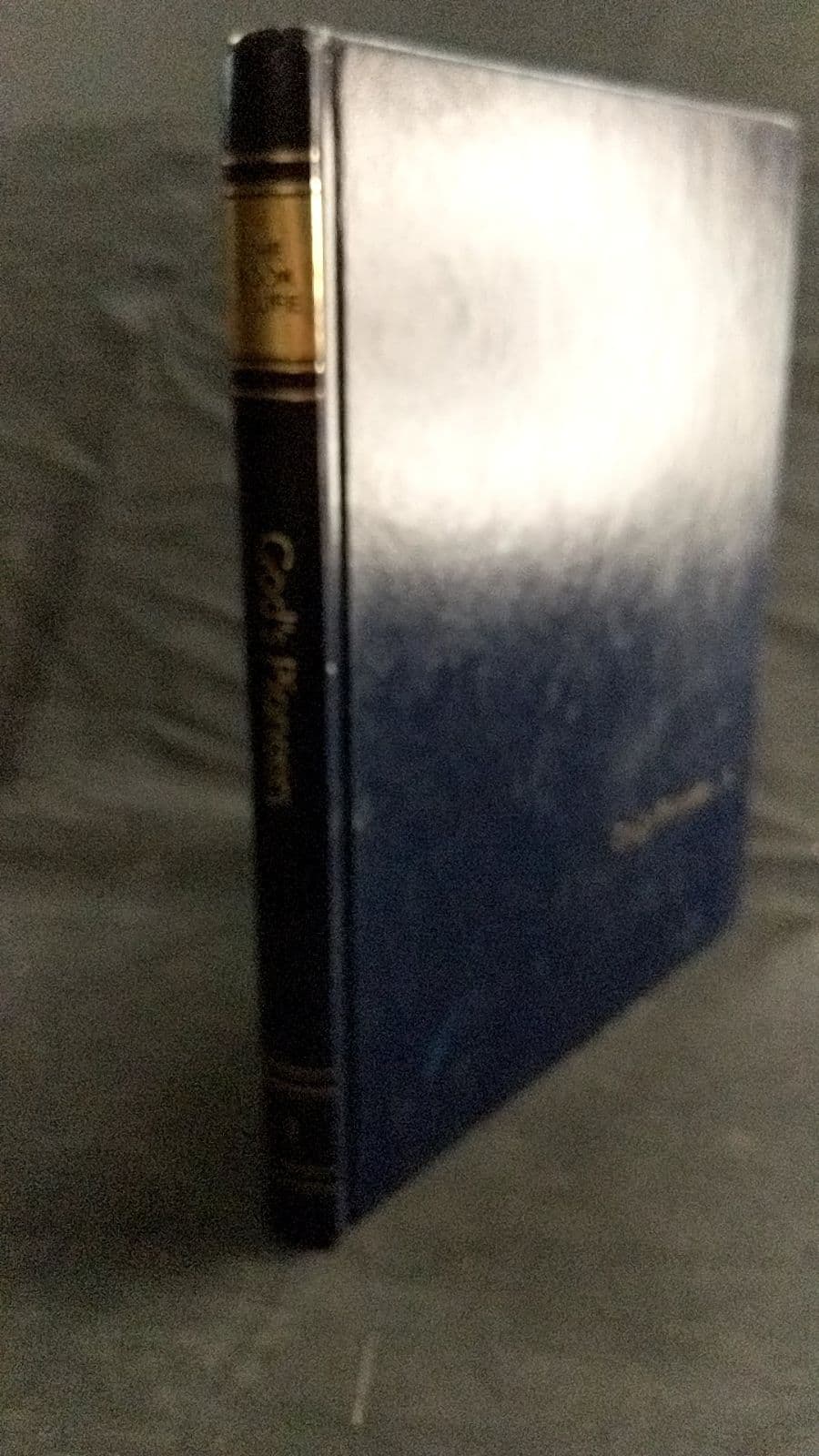 The Book of Life: Volume 1 God's Pioneers The Patriarchs and Their Times by V. Gilbert Beers, Th.D., Ph.D. - front cover