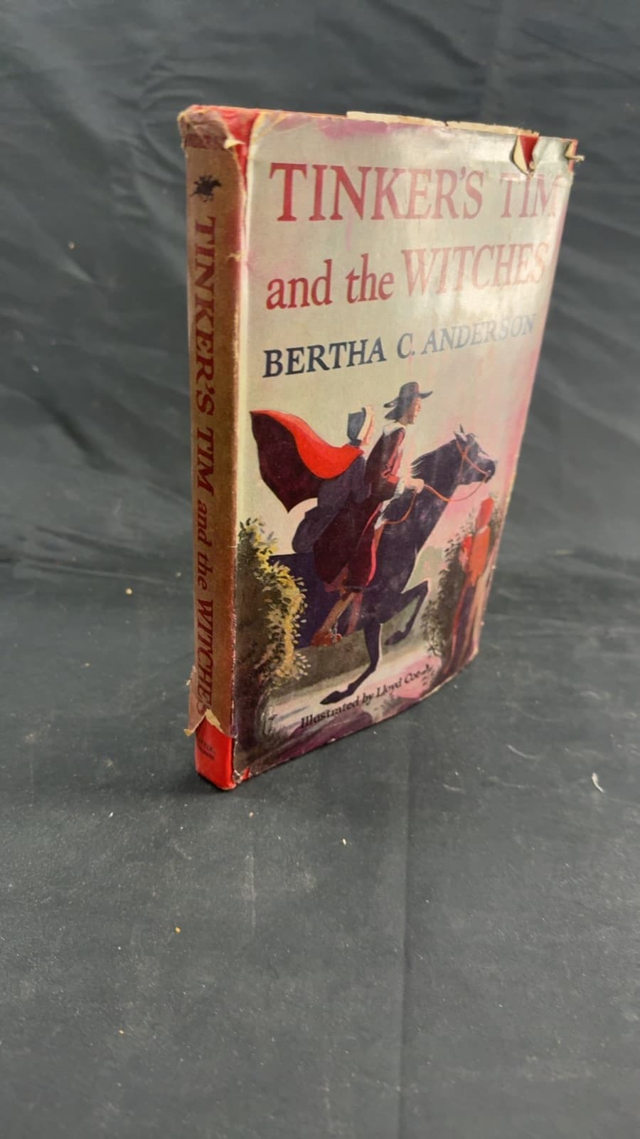 Tinker's Tim and the Witches by Bertha C. Anderson - front cover