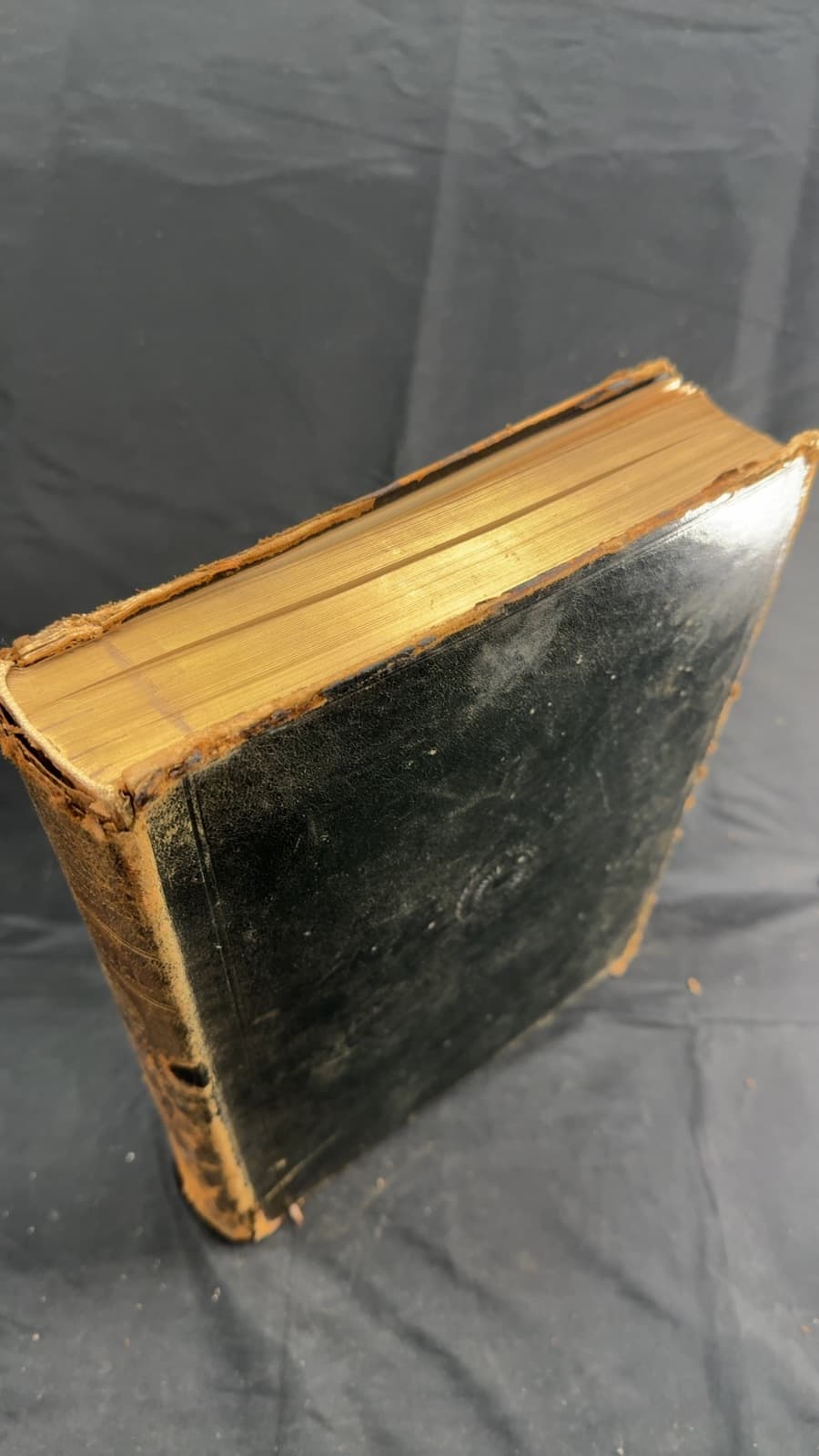 The Century Dictionary: An Encyclopedic Lexicon of the English Language by William Dwight Whitney; Revised by Benjamin E. Smith - front cover