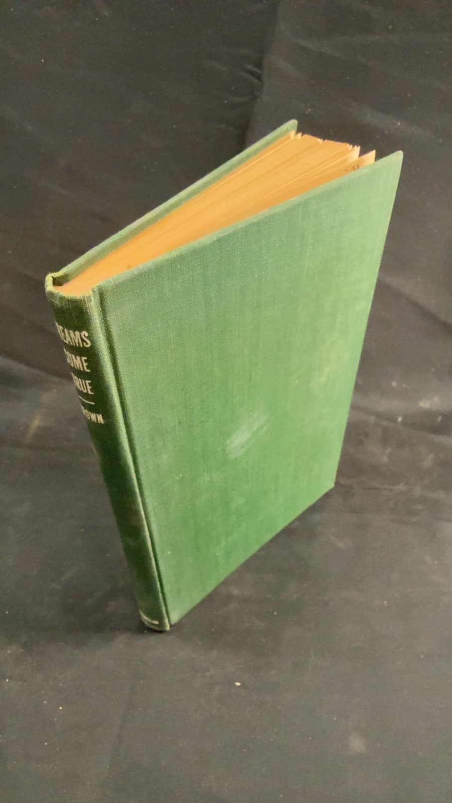 Dreams Come True by Charles R. Brown - front cover