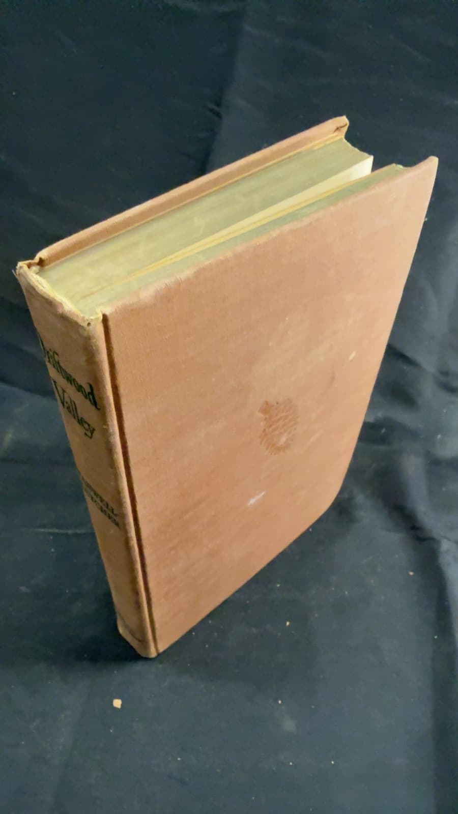 Driftwood Valley by Theodora C. Stanwell-Fletcher - front cover