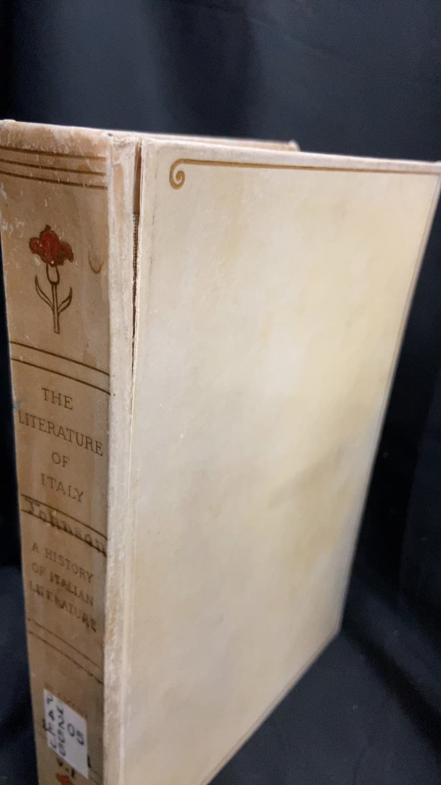 A History of Italian Literature (1265-1907) by Francesco Flamini - front cover