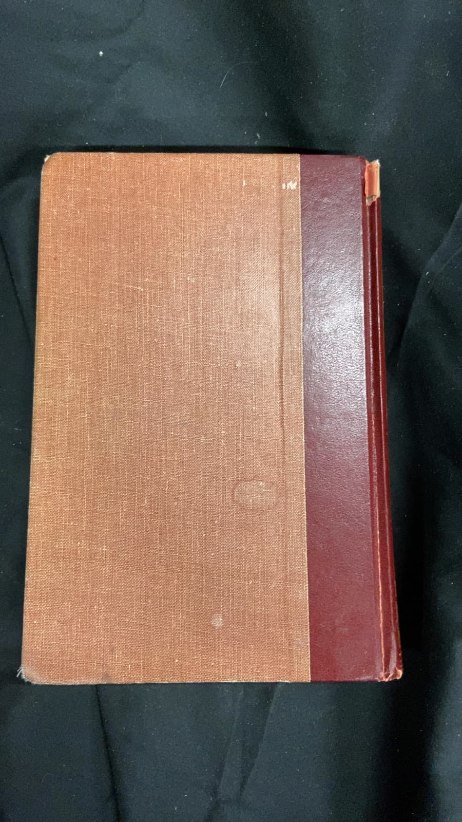 Jack and Jill by Louisa May Alcott - additional view