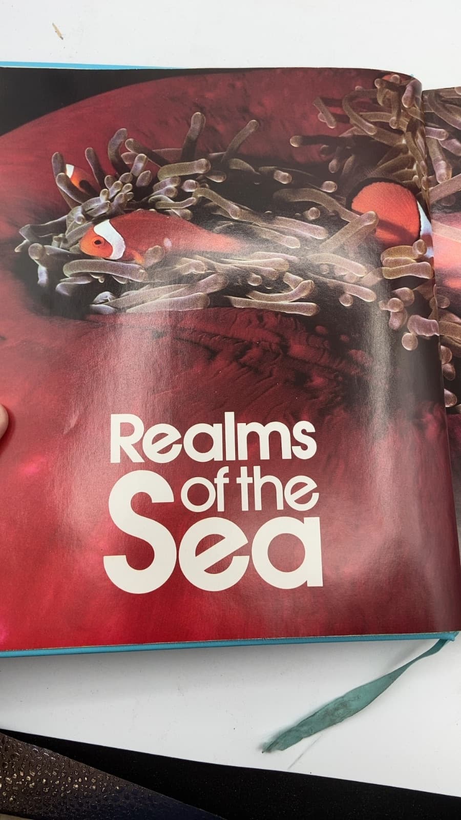 Realms of the Sea by Kenneth Brower - title page