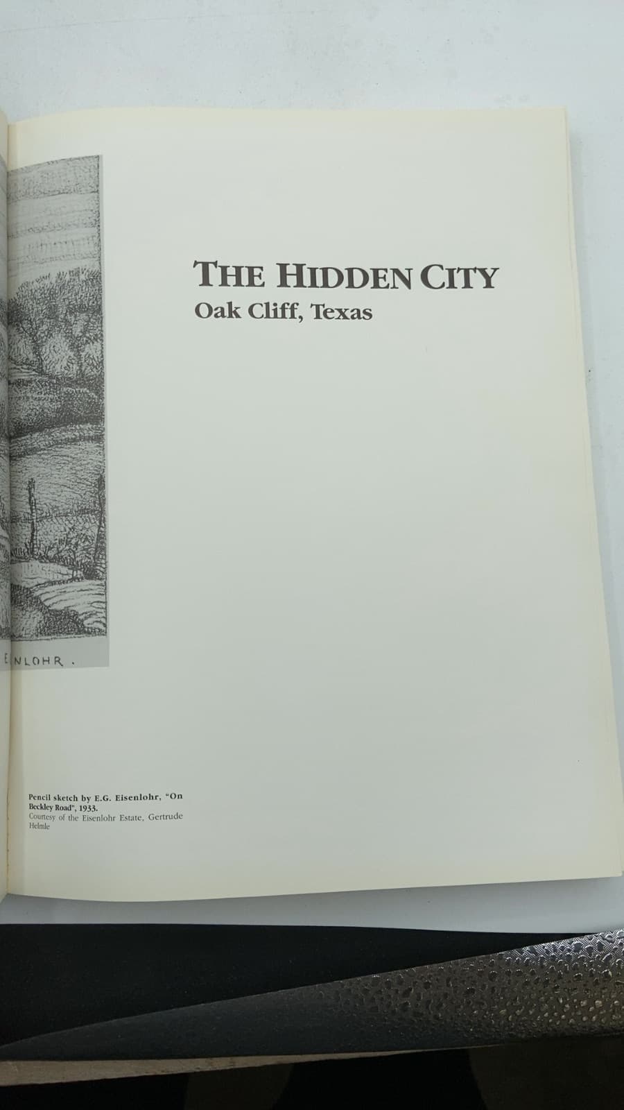 The Hidden City Oak Cliff, Texas by Bill Minutaglio & Holly Williams - title page