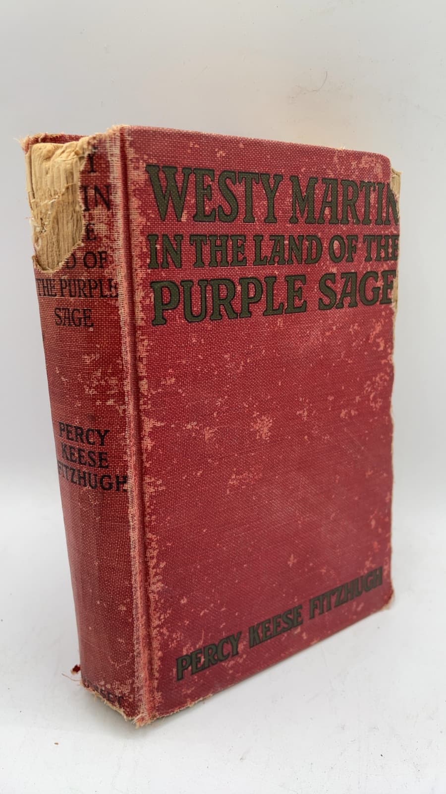 Westy Martin in the Land of the Purple Sage by Percy Keese Fitzhugh - front cover