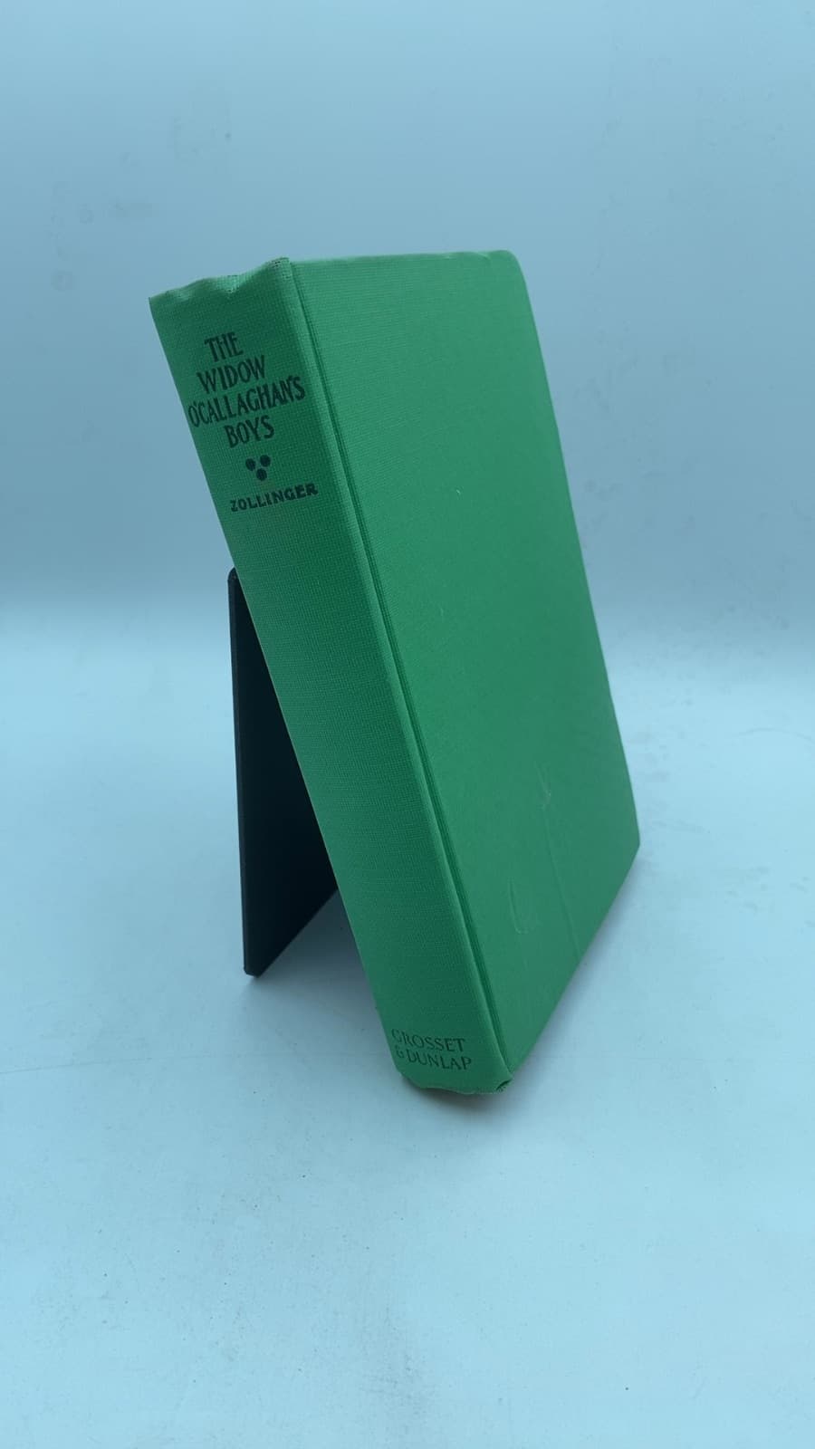 The Widow O'Callaghan's Boys by Gulielma Zollinger - front cover