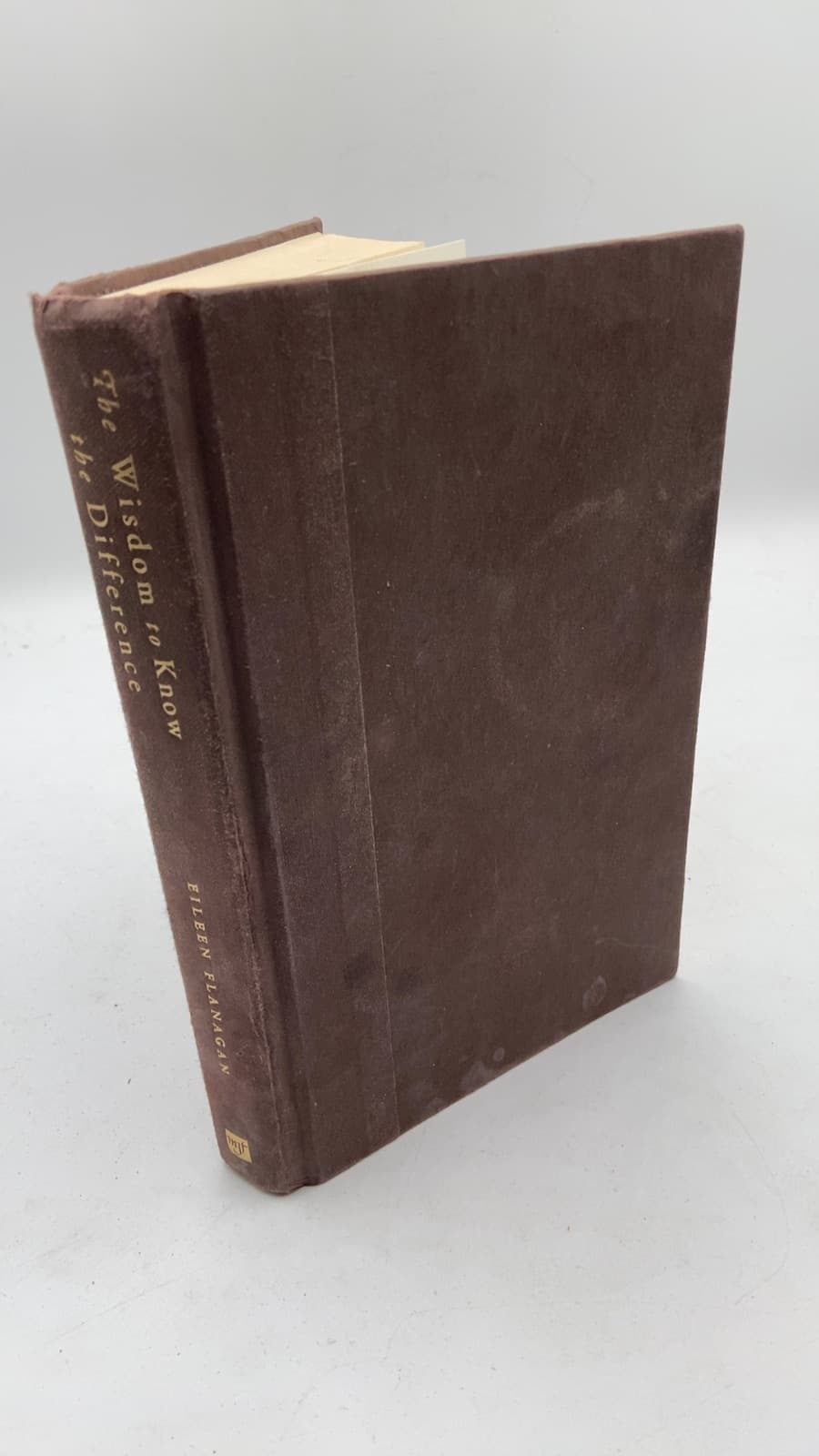 The Wisdom to Know the Difference by Eileen Flanagan - front cover