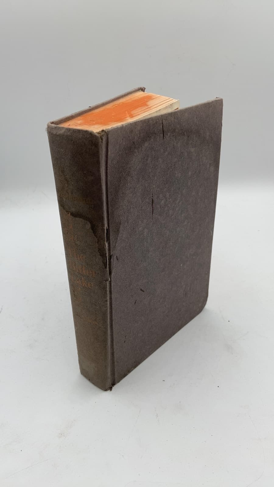 The Bitter Lake by Lawrence P. Bachmann - front cover
