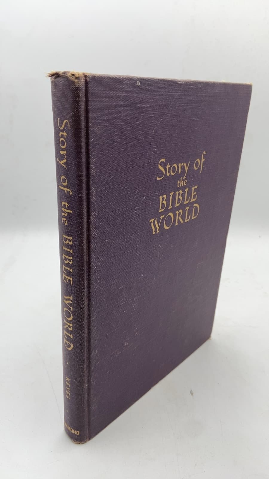 Story of the Bible World by Nelson Beecher Keyes - front cover