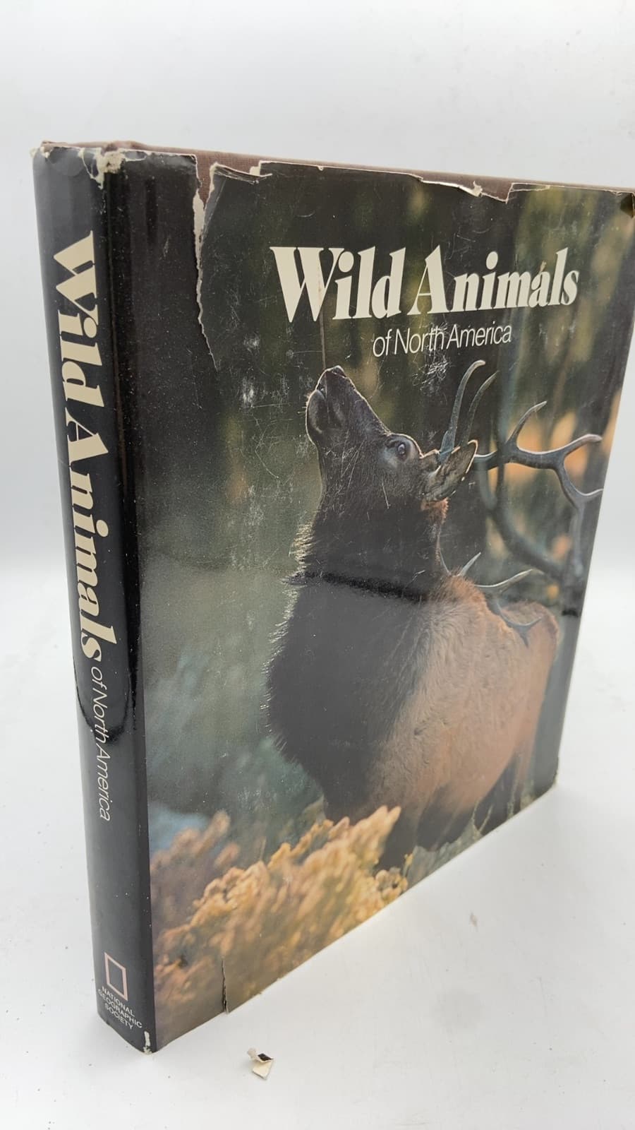 Wild Animals of North America - front cover