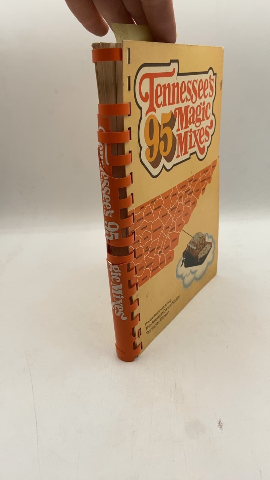 Tennessee's 95 Magic Mixes - front cover