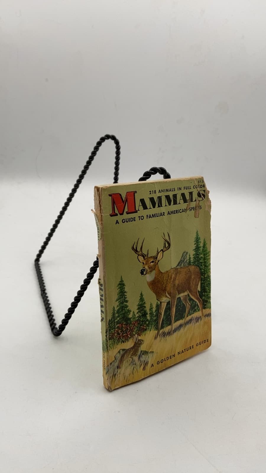 Mammals: A Guide to Familiar American Species by Herbert S. Zim, Donald F. Hoffmeister - front cover