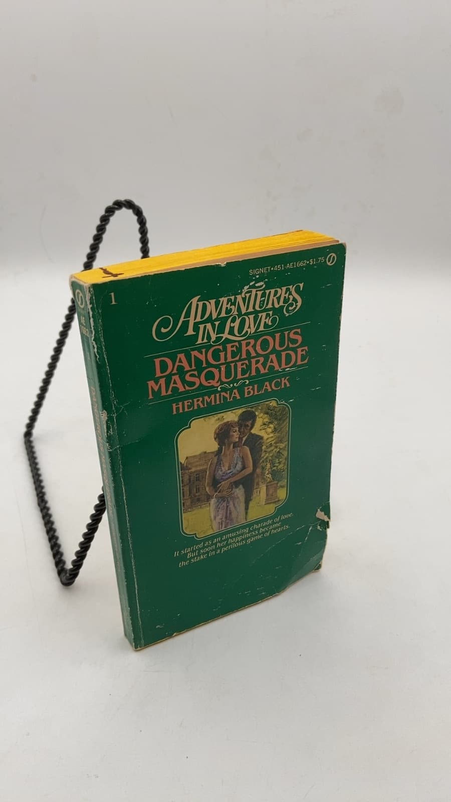 Dangerous Masquerade by Hermina Black - front cover
