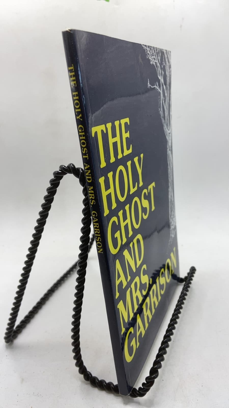 The Holy Ghost and Mrs. Garrison by Mary Garrison - front cover