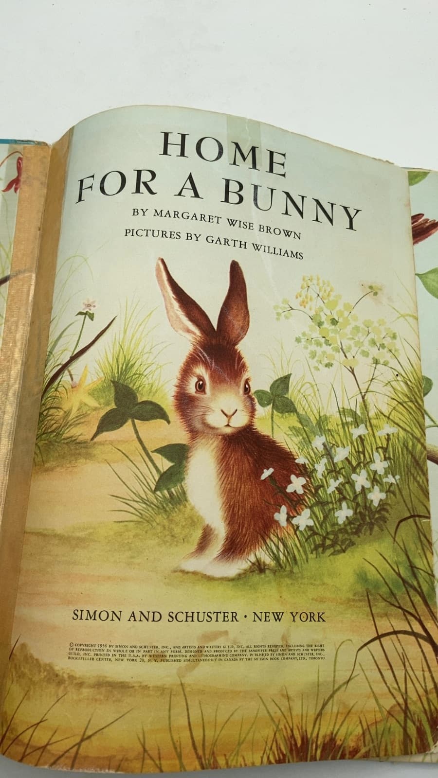Home for a Bunny by Margaret Wise Brown - front cover