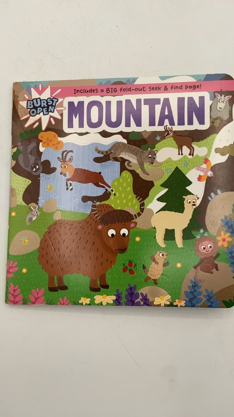 Burst Open Mountain - title page