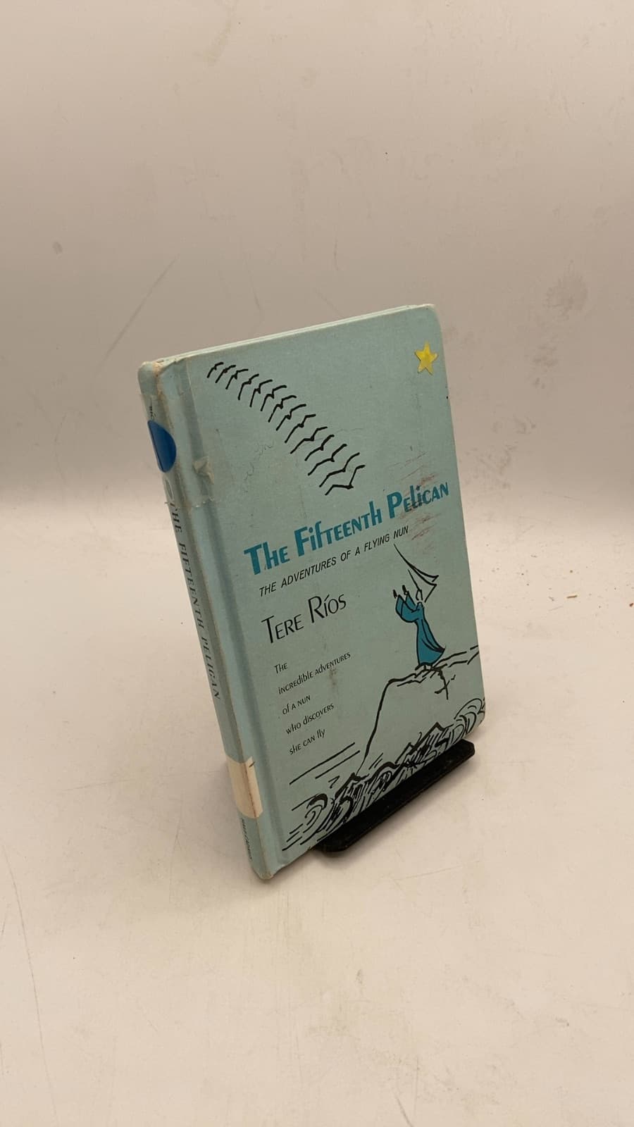 The Fifteenth Pelican by Tere Ríos - front cover