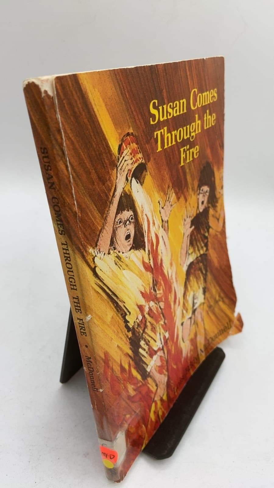 Susan Comes Through the Fire by McDonnell - front cover