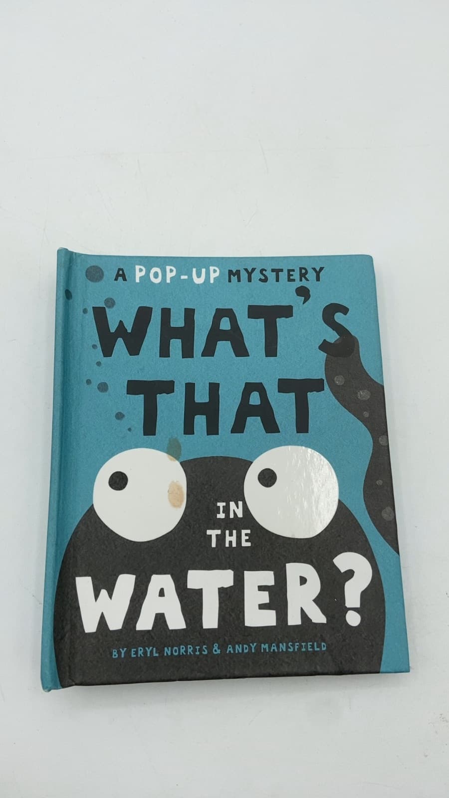 What's That in the Water? by Eryl Norris & Andy Mansfield - title page