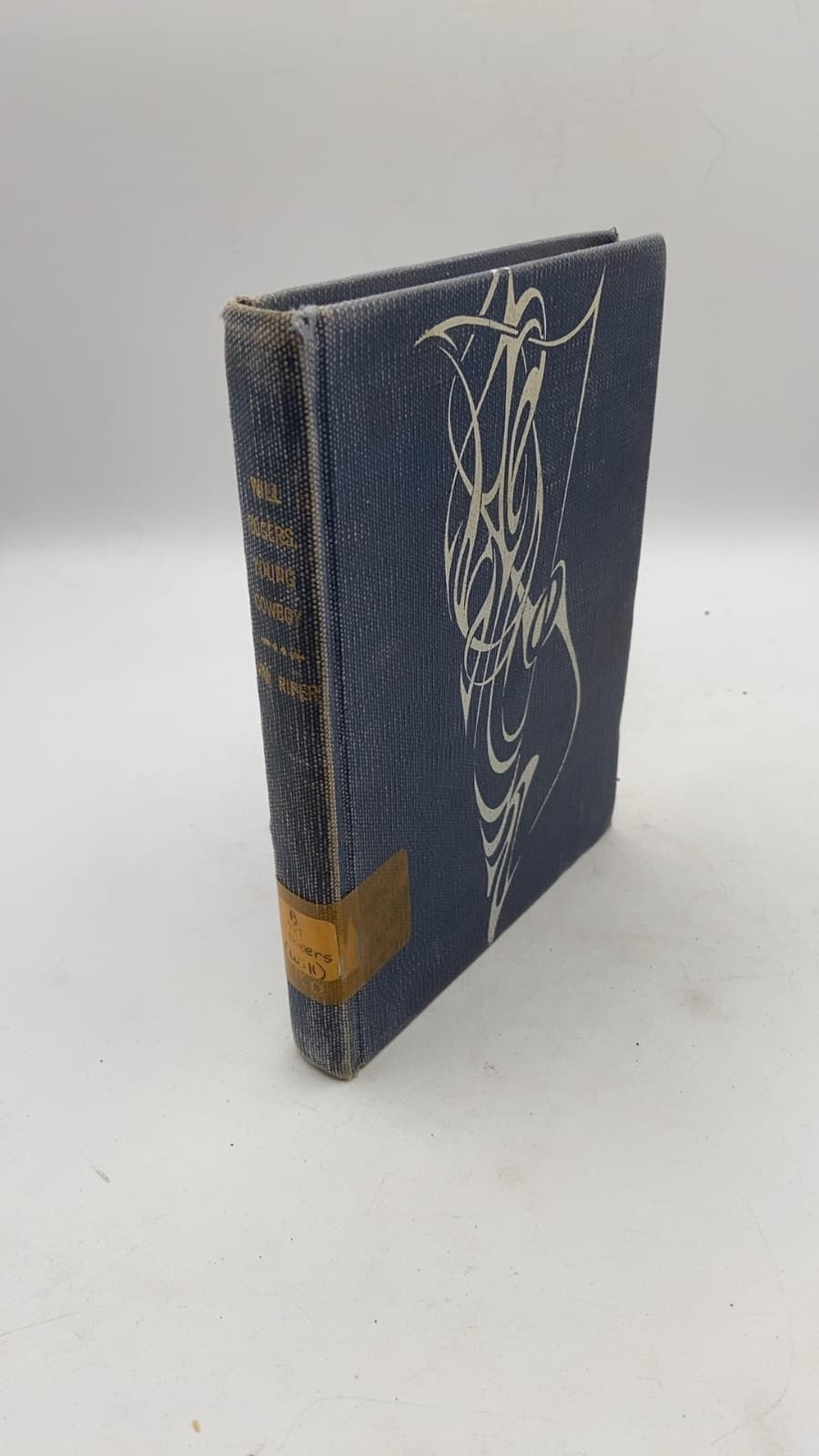 Will Rogers Young Cowboy by Guernsey Van Riper, Jr. - front cover